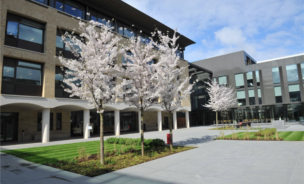 St Paul's School